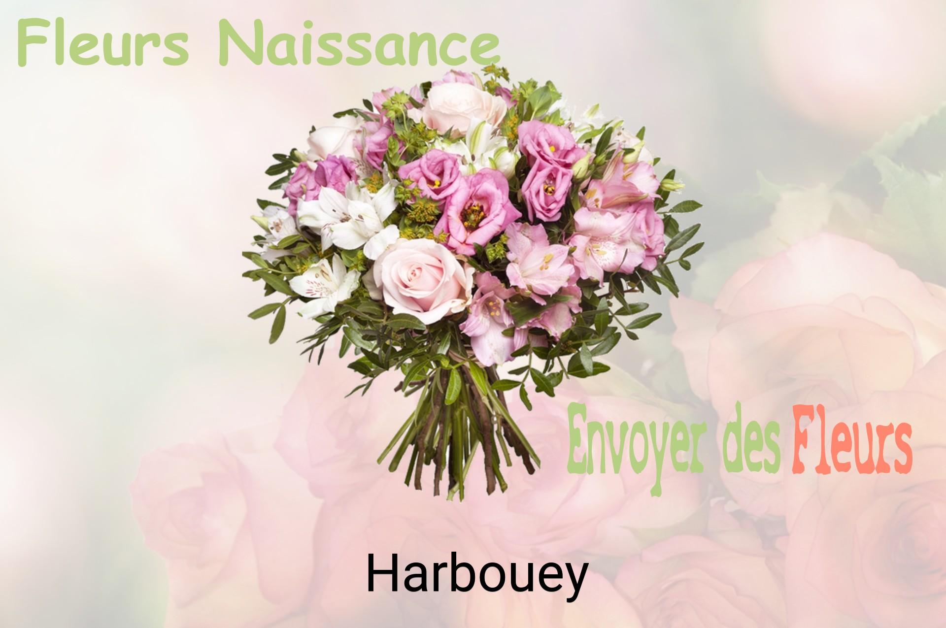 Bouquet de fleurs de naissance livré à Harbouey